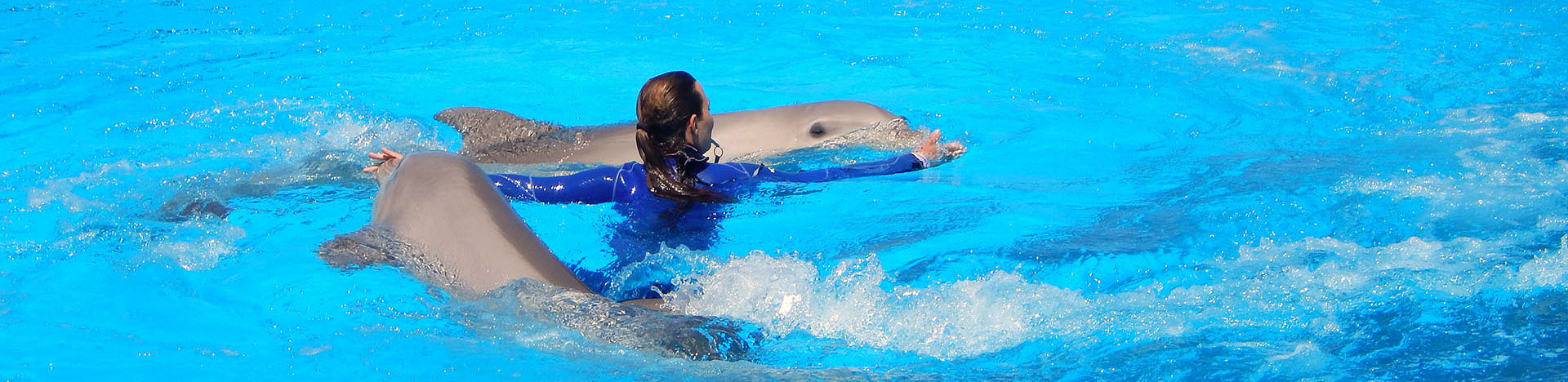 Marine Park in Malta