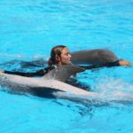 Dolphin Shows In Malta