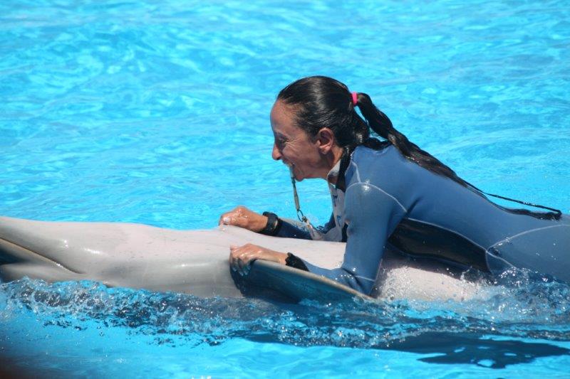 malta marine park swim