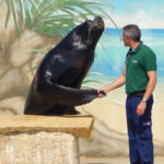 Animal Carer For The Day